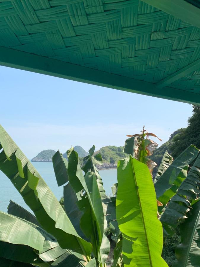 Ocean Beach Resort Cat Ba Island Kültér fotó